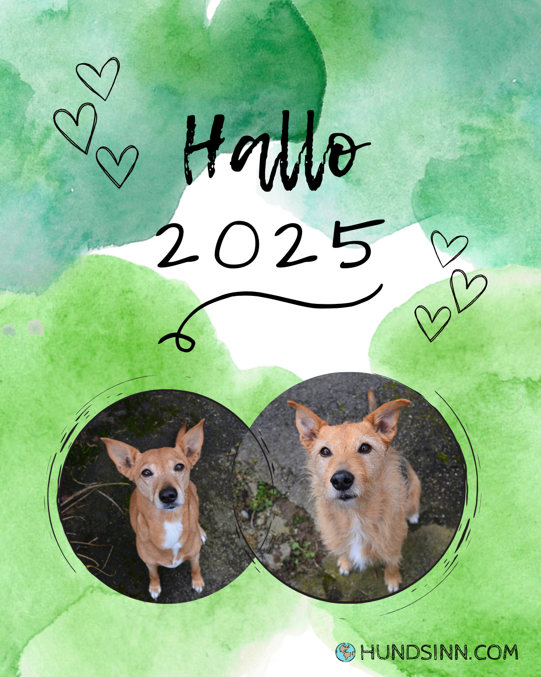 hallo 2025_insta