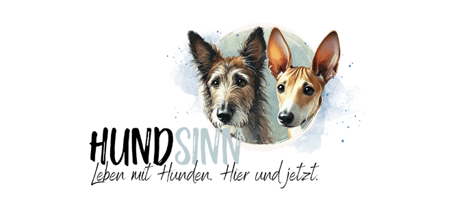HundSinn