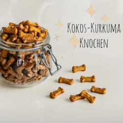 kokos_kurkuma_knochen